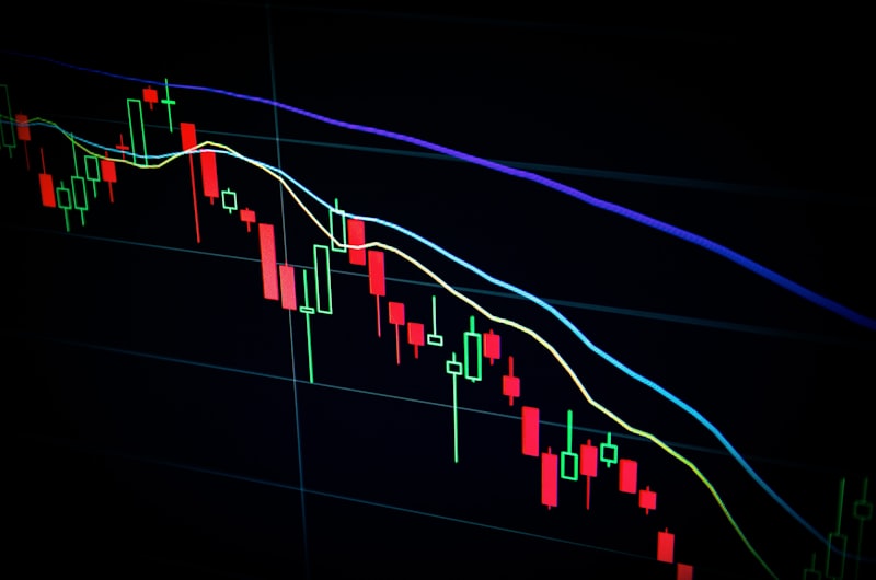 Lic. en Economía